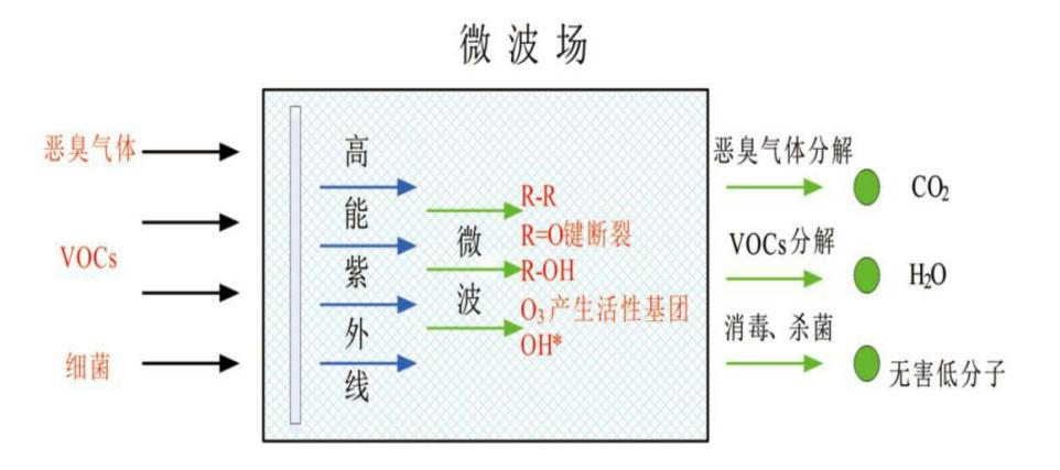 圖片1.png